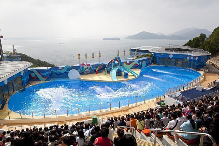 港澳五日游—港珠澳大橋—港澳純玩,港澳旅游,香港海洋公園,澳門大三巴牌坊